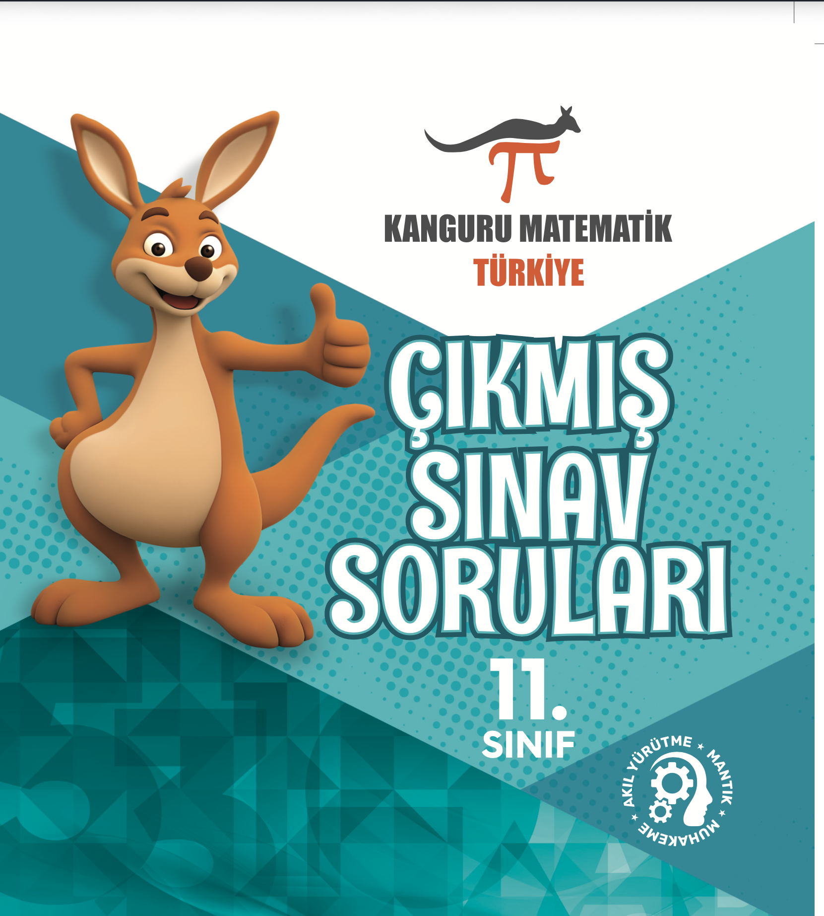 11. sınıf Çıkmış Sorular 2019