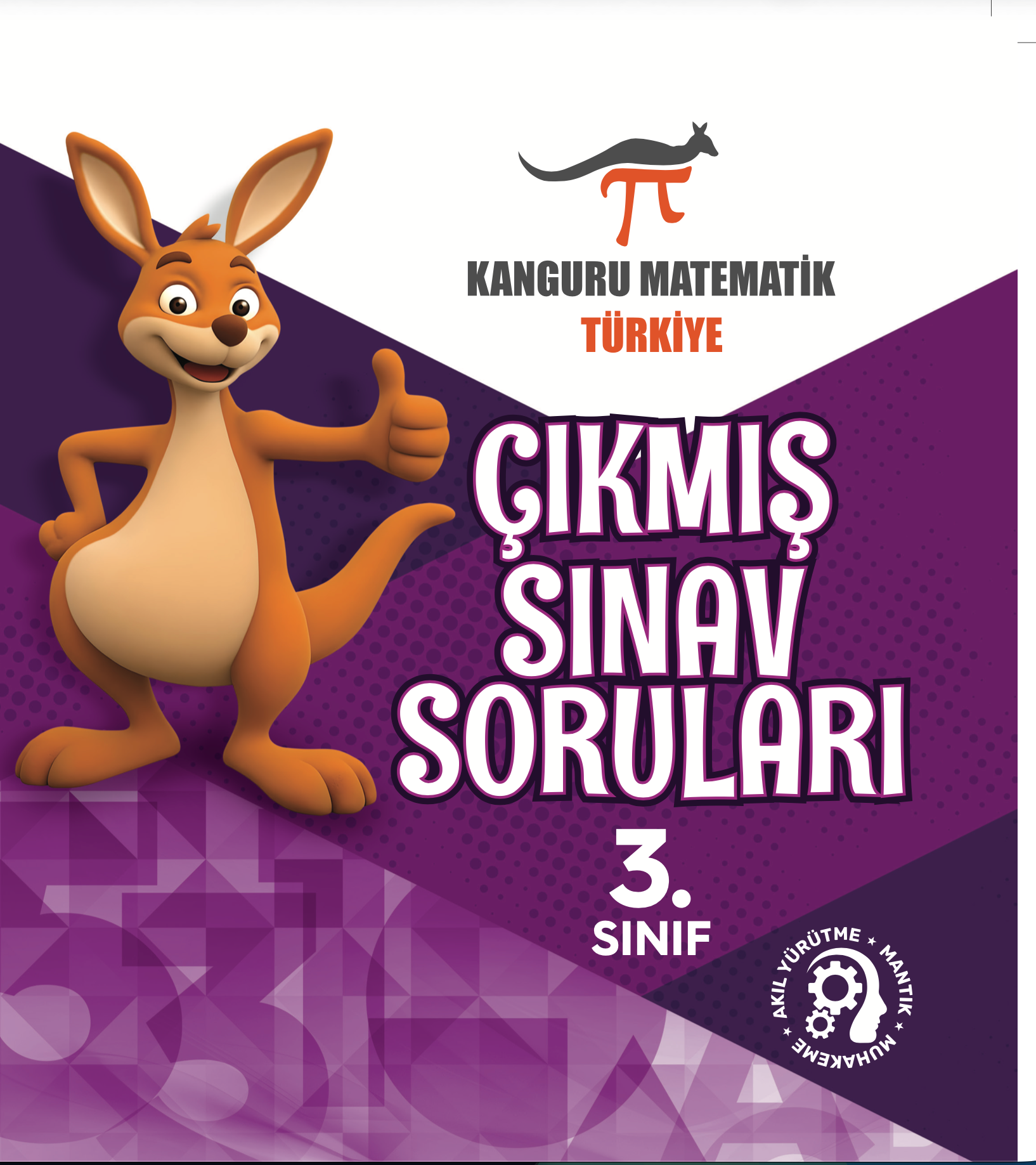 3 sınıf Çıkmış Sorular  2015