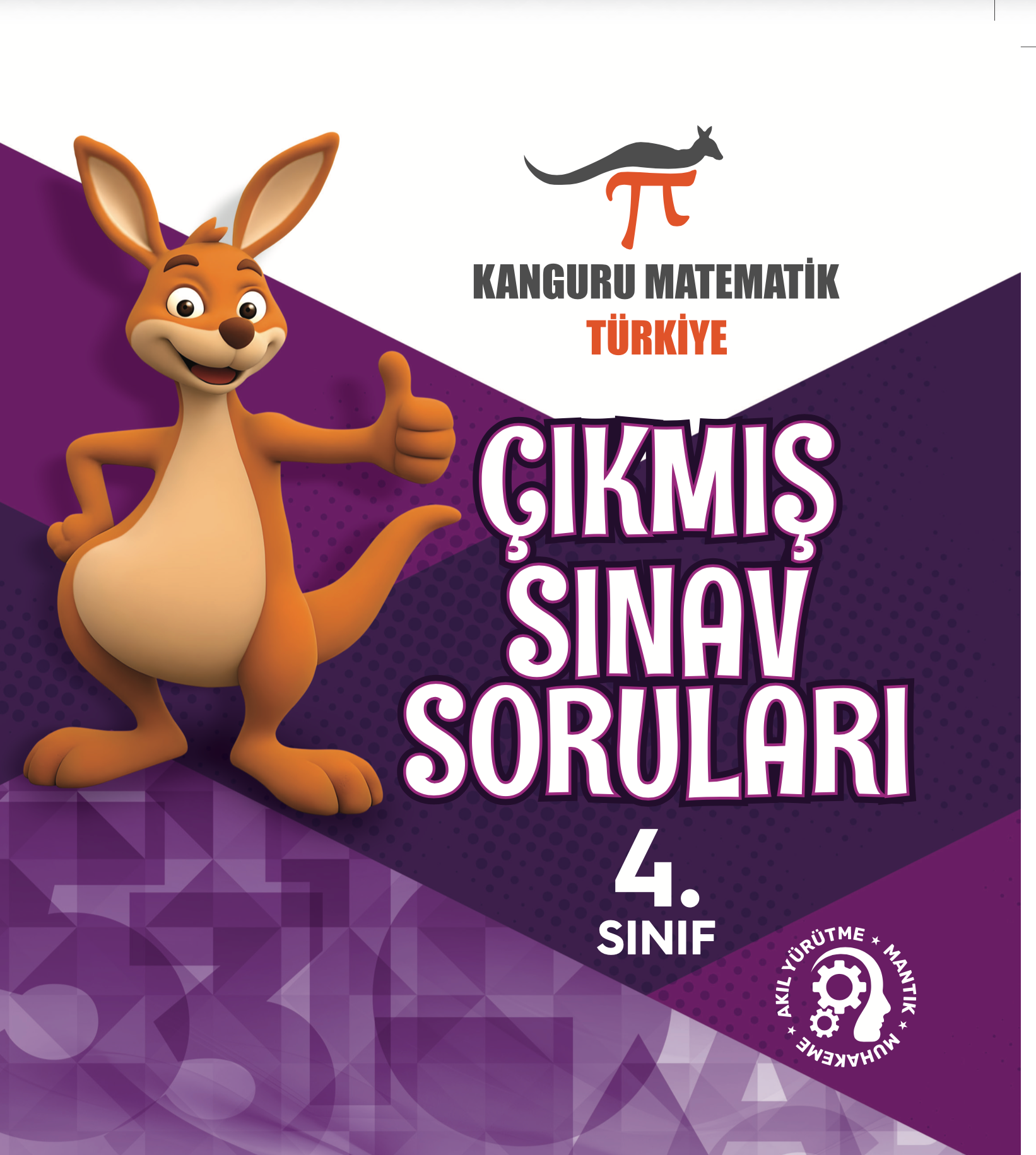 4.sınıf Çıkmış Sorular  2019