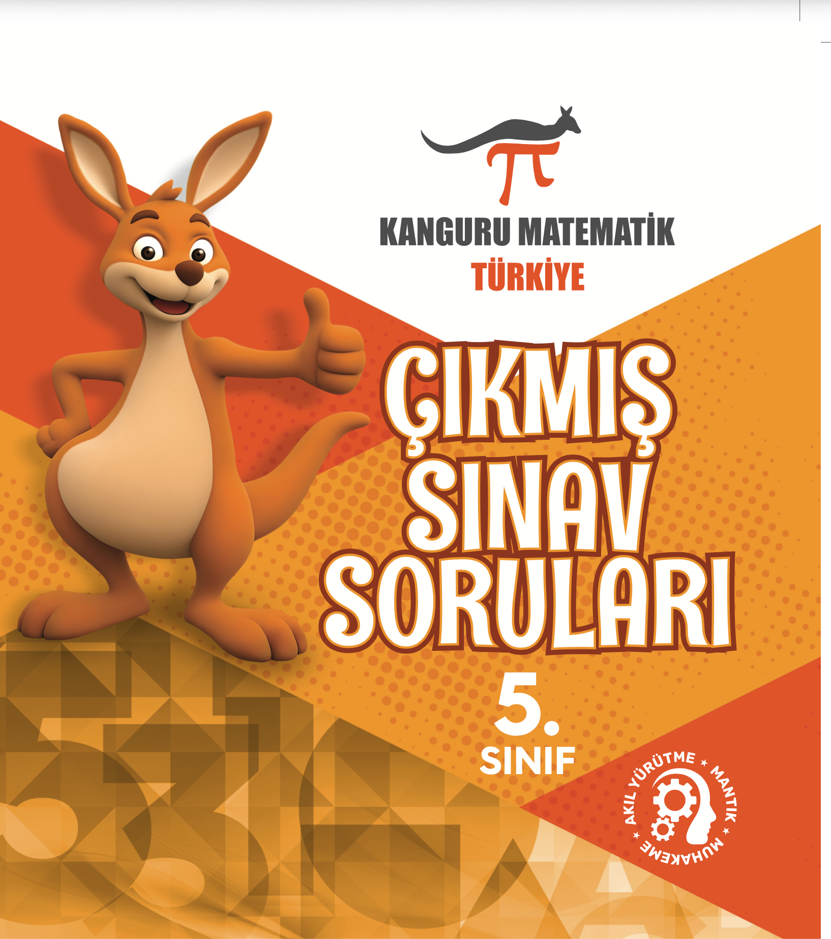 5. sınıf Çıkmış Sorular  2021