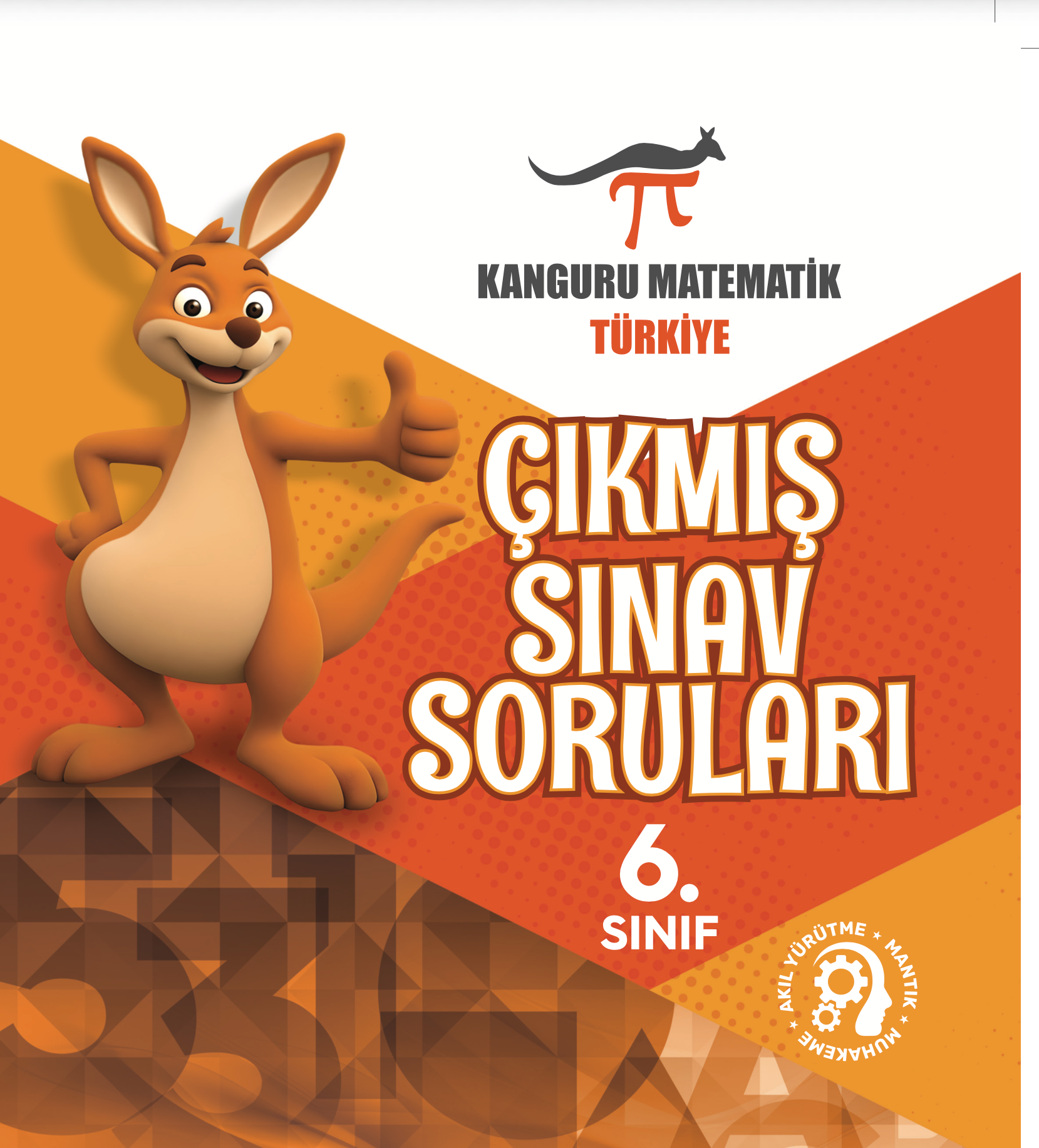 6. sınıf Çıkmış Sorular  2015
